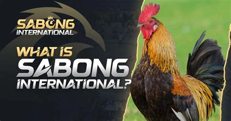 sabong international spider|Sabong International: The best platform play online Sabong.